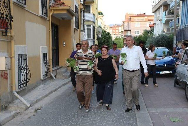 Fesleğen Mahallesi’ne İki Kamyon Fesleğen Dağıtıldı