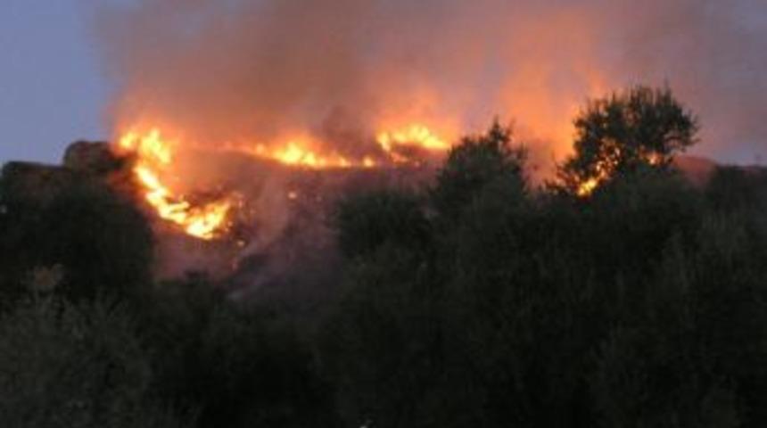 Aydın&rsquo;daki Yangın Kısmen Kontrol Altına Alındı