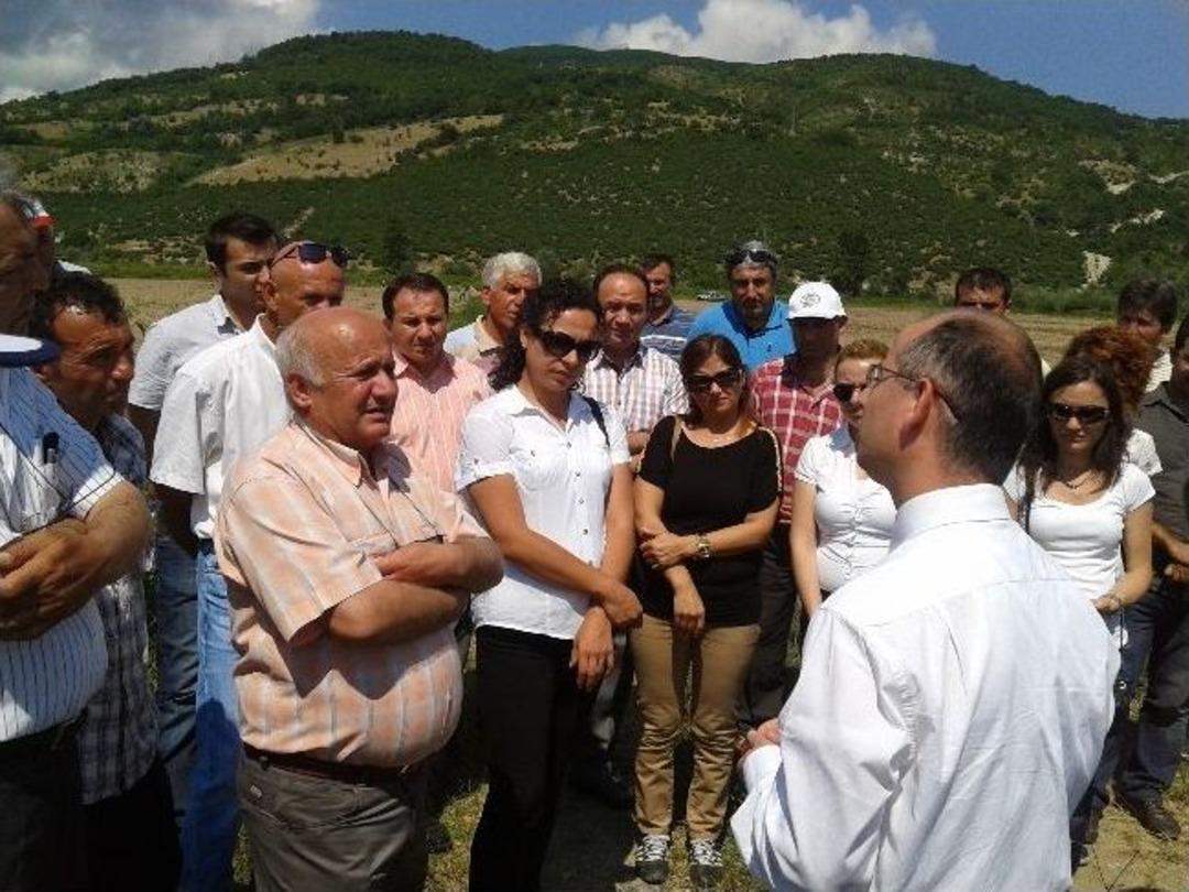 &Ccedil;aycuma&rsquo;da İlk Kez Nohut Yetiştiriciliği Denemesi Yapıldı