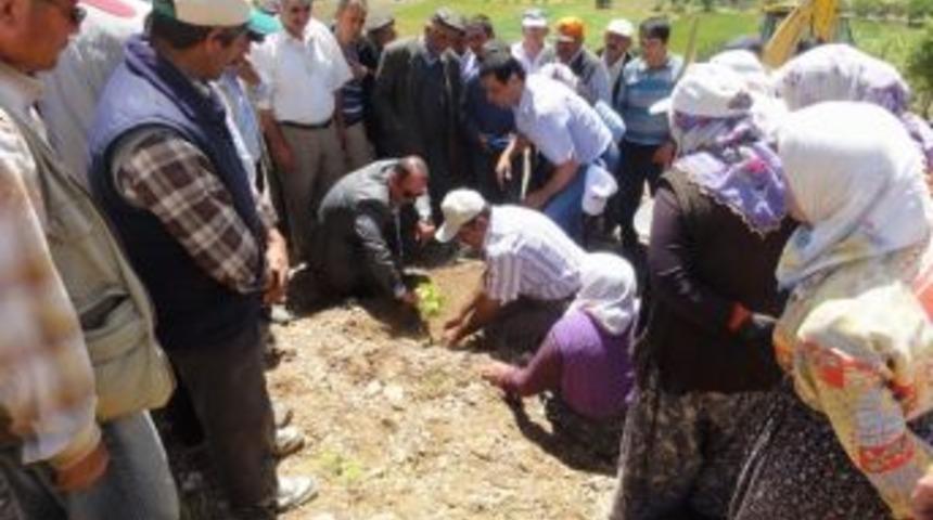 Afyonkarahisar&rsquo;da &Ccedil;ift&ccedil;ilere Organik Tarıma Y&ouml;nlendiriliyor