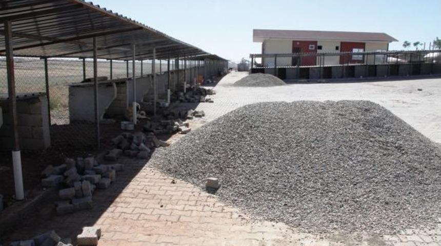 Hayvan Barınağının Kapasitesini Artırıldı