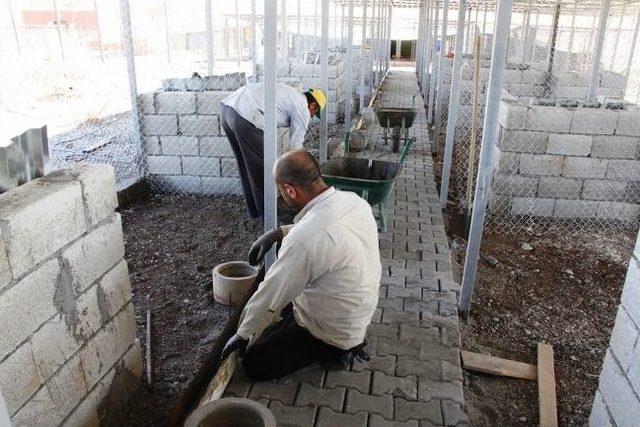 Hayvan Barınağının Kapasitesini Artırıldı 1