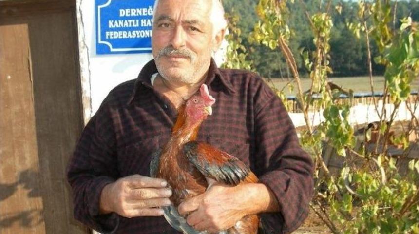 Emanet Horozlar &Ccedil;alınınca Başı Belaya Girdi