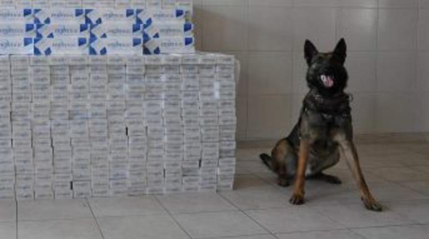 Otob&uuml;sle Esrar Sevkiyatı Jandarmaya Takıldı: 3 G&ouml;zaltı