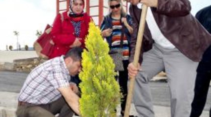 Yozgat Jeoloji M&uuml;hendisleri Odası Bin Adet Fidan Dikti