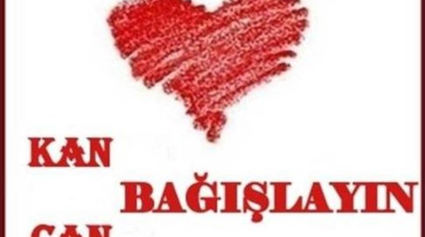 14 Haziran D&uuml;nya G&ouml;n&uuml;ll&uuml; Kan Bağış&ccedil;ıları G&uuml;n&uuml;