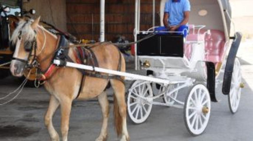 Torbalı Belediyesi 2 Adet Fayton Aldı