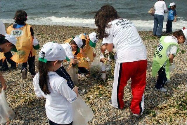Mudanya&rsquo;da Minikler &Ccedil;&ouml;p Topladı 1