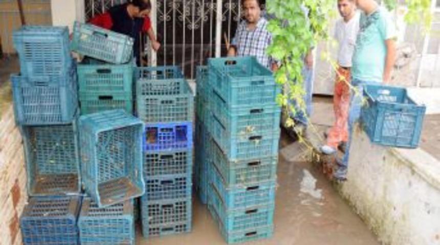 Manisa'da Şiddetli Yağmur: 150 Ev Ve Işyerini Su Bastı