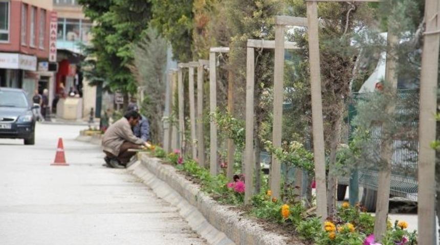 Bayburt &Ccedil;i&ccedil;ek A&ccedil;ıyor
