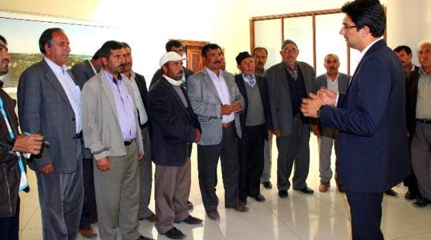 "milyarlarca Ağacı Verseniz Bir Tek Canı Geri Getirebilir Mi?"