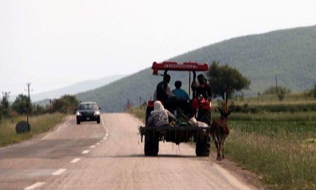 Eşeğini Traktörün Arkasına Bağladı