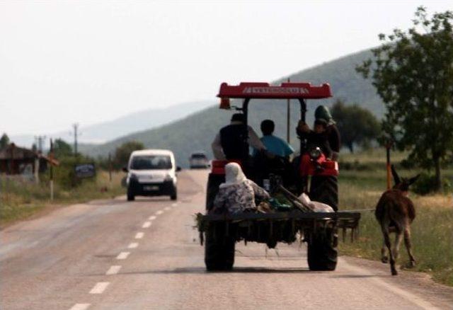 Eşeğini Traktörün Arkasına Bağladı