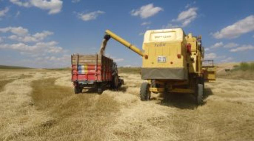 Kırıkkale&rsquo;de Arpa Hasadı Başladı