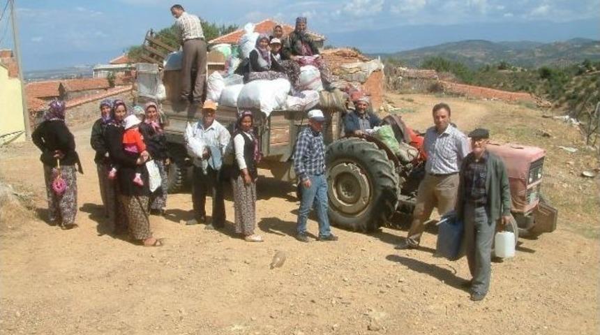 Hacıh&uuml;seyinler K&ouml;y&uuml;nde Yaylacılık Geleneği