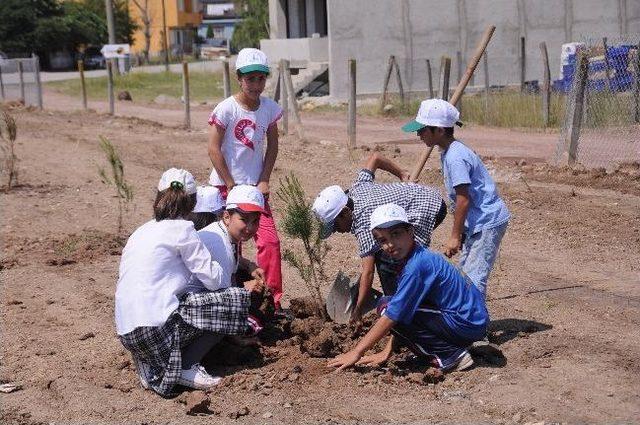 Kartepe de &Ccedil;evre Haftası Etkinliği 1