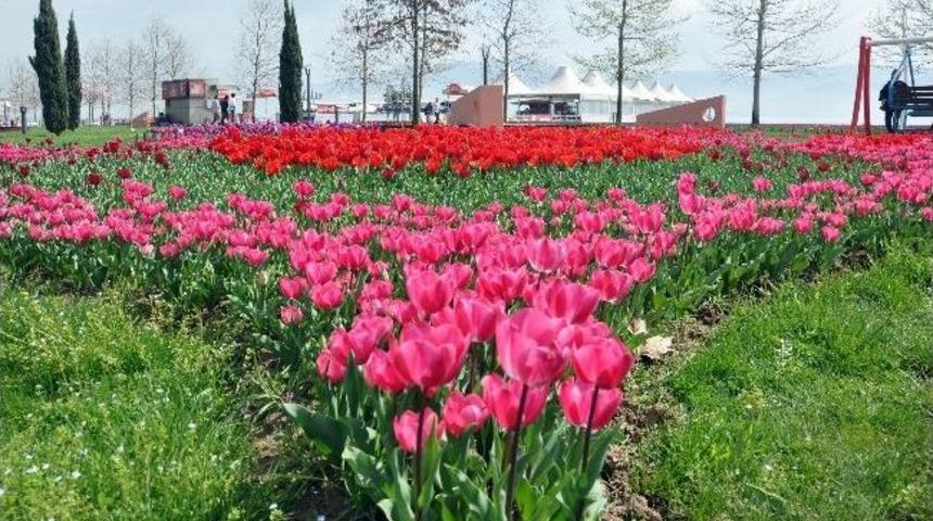 Erdoğan'ın &Ouml;vd&uuml;ğ&uuml; Seka Park Kocaeli'nin Yaşam Kaynağı