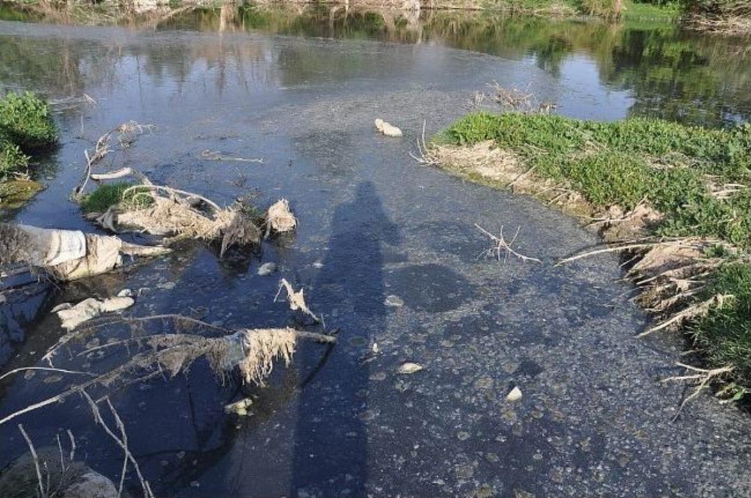 İl Genel Meclisi &Uuml;yeleri G&ouml;nen &Ccedil;ayındaki Kirliliğe İsyan Etti