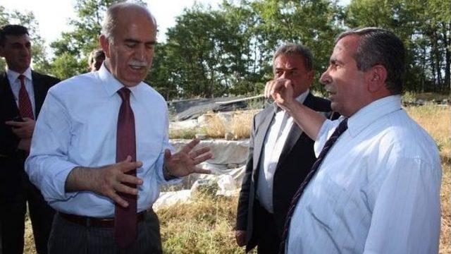 Bin 500 Yıllık Bazilika Gün Yüzüne Çıkıyor