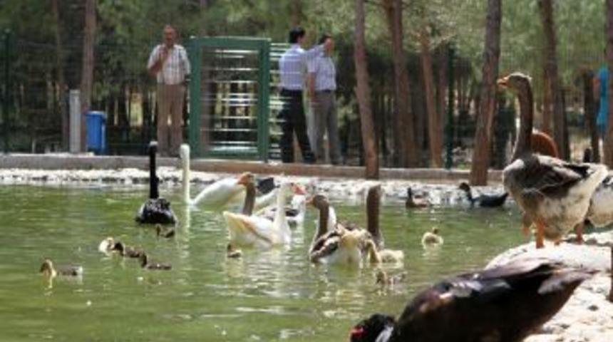 Muğla &Uuml;niversitesi&rsquo;nde Doğal Yaşam Alanı Oluşturuldu