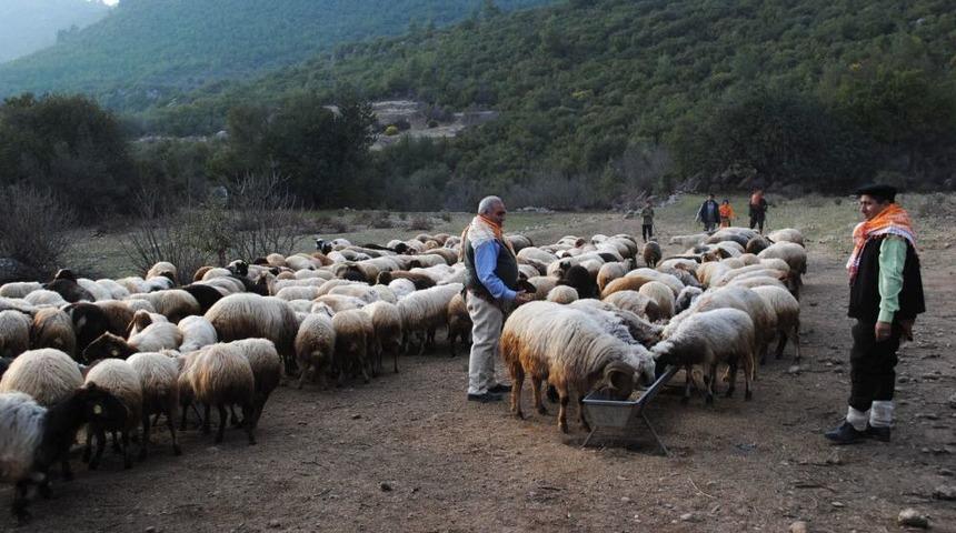 Orman Yangınlarını &Ccedil;obanlar Ihbar Edecek