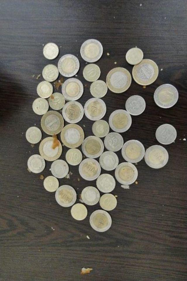 Zabıta Ekiplerinden Dilenci Operasyonu 1