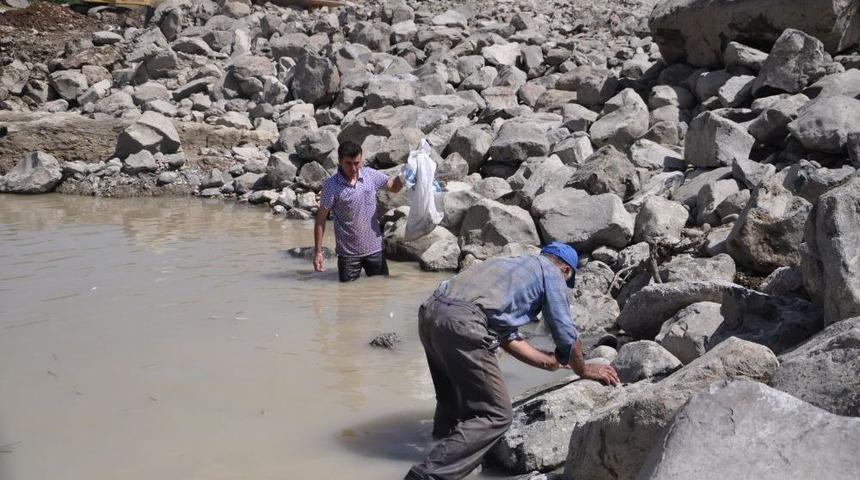 Tunceli'nde Telef Olan Balıkların &Uuml;zeri Harfiyat Ile Kapatıldı