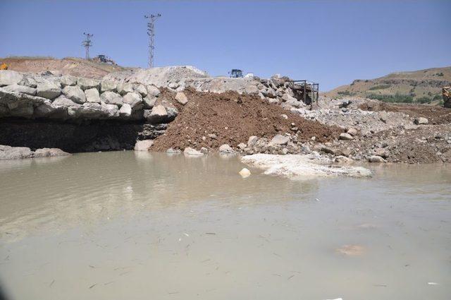 Tunceli'nde Telef Olan Balıkların Üzeri Harfiyat Ile Kapatıldı