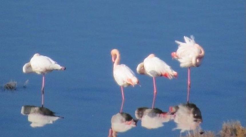 Mavişehir'de G&ouml;kdelen'e Tepki