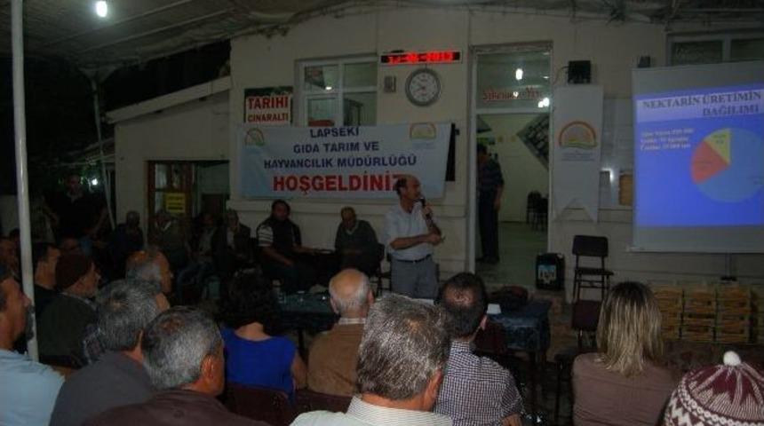 Akademisyenler Kiraz &Uuml;reticilerini Uyardı