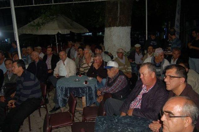 Akademisyenler Kiraz &Uuml;reticilerini Uyardı 1