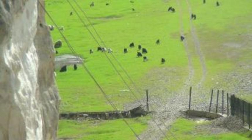 &Ccedil;ardaklar Mera Oldu