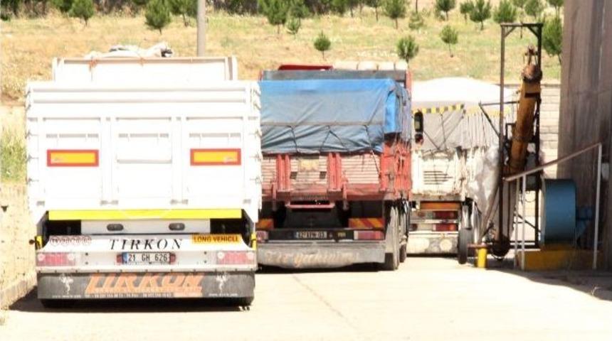 Tmo'de Buğday Alımları Başladı