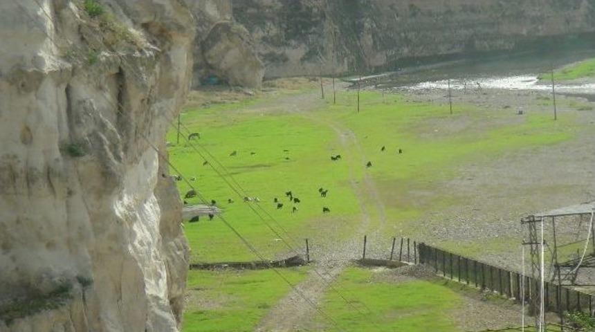 Hasankeyf Eski &Ccedil;ardak Alanı Mera Oldu