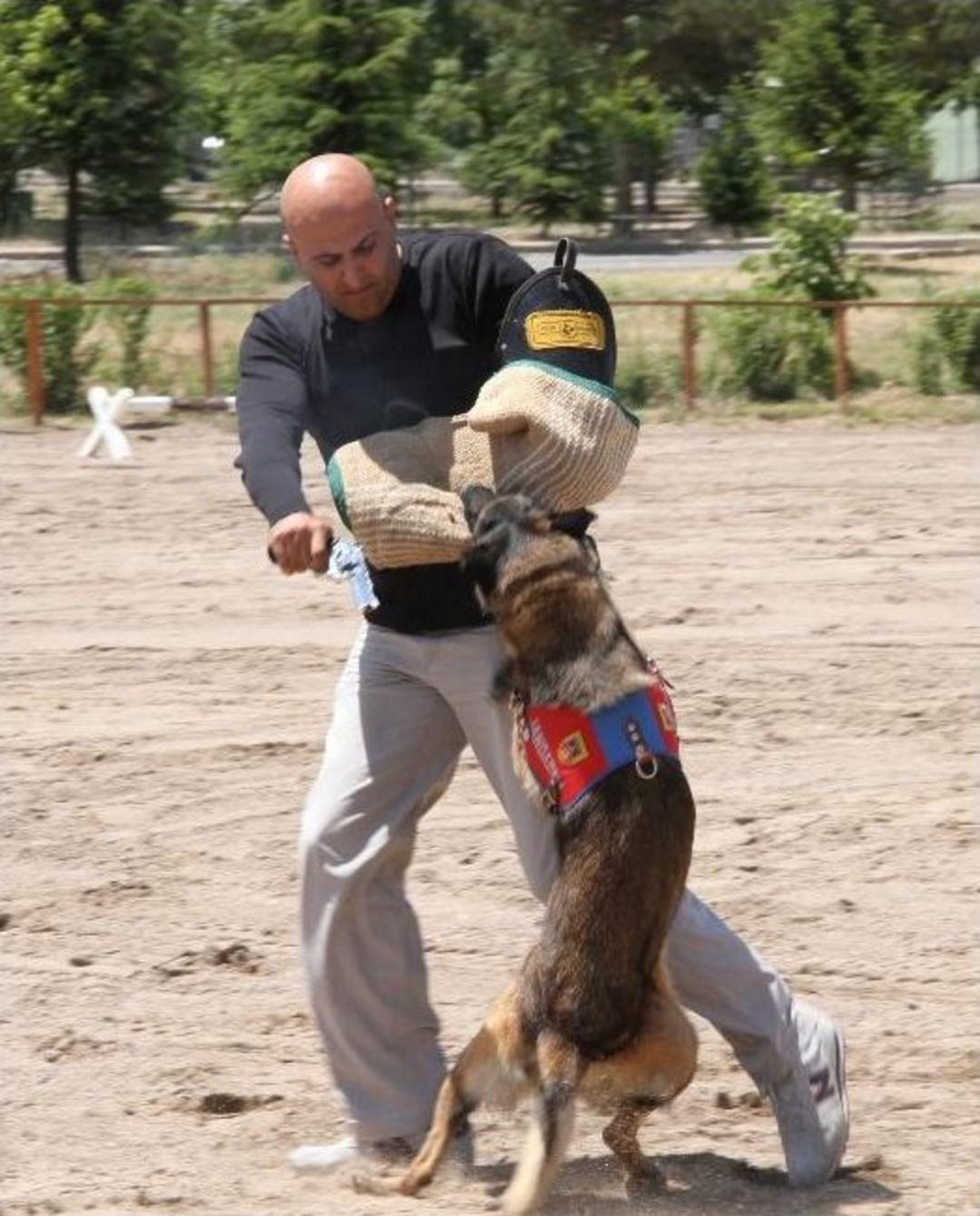 Jandarma Teşkilatı 174. Kuruluş Yıld&ouml;n&uuml;m&uuml;n&uuml; Kutluyor