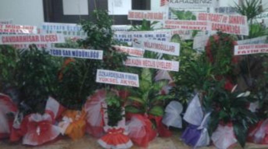 Tebrik &Ccedil;i&ccedil;ekleri Değerlendiriliyor