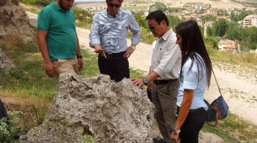 Japon Mimar Sasaki&rsquo;nin B&uuml;nyan Merakı