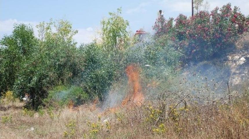Didim&rsquo;de 25 D&ouml;n&uuml;ml&uuml;k Alan &Ccedil;ıkan Yangında Zarar G&ouml;rd&uuml;