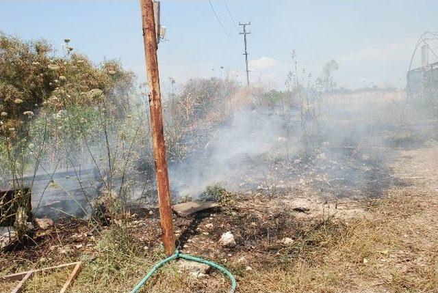 Didim’de 25 Dönümlük Alan Çıkan Yangında Zarar Gördü