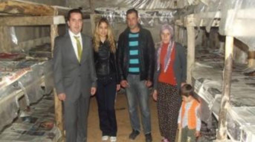 Altunhisar'da K&uuml;lt&uuml;r Mantarı Yaygınlaşıyor