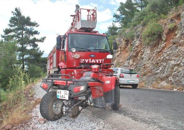 İngiliz Turist Ağaca Çarparak Kurtuldu