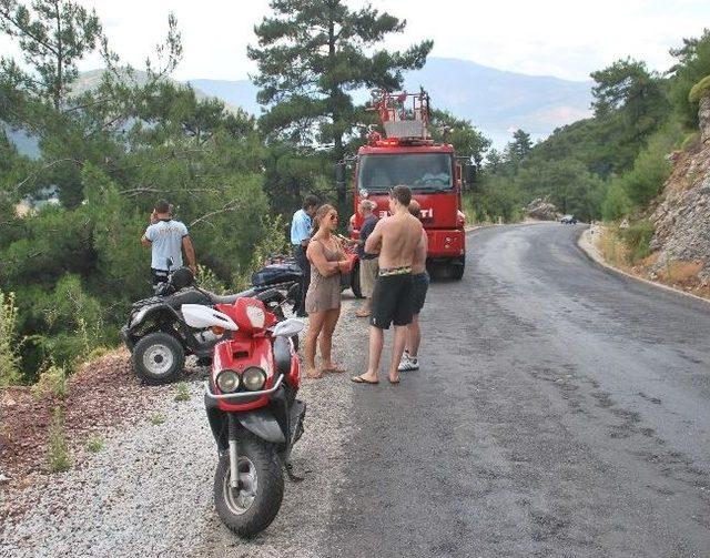 İngiliz Turist Ağaca Çarparak Kurtuldu