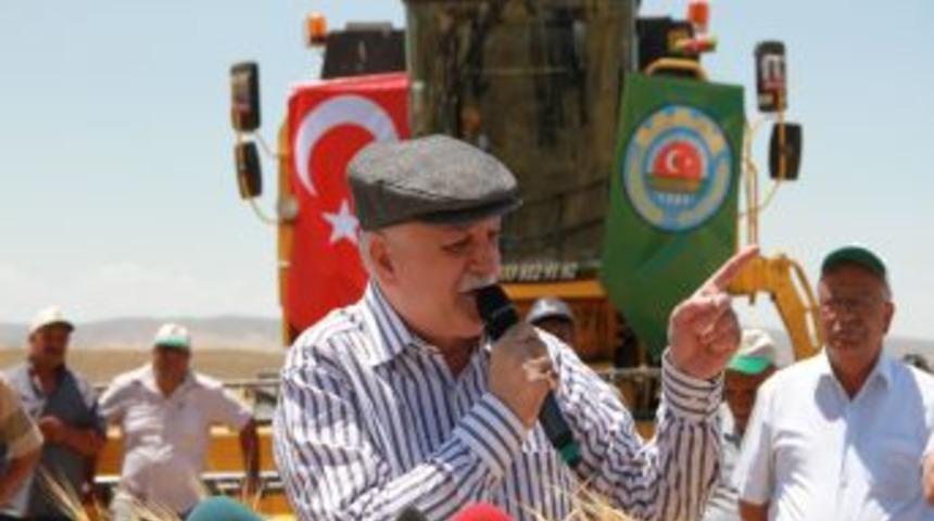 Arpa Tarlasında Hasat Bayramı Kutlaması