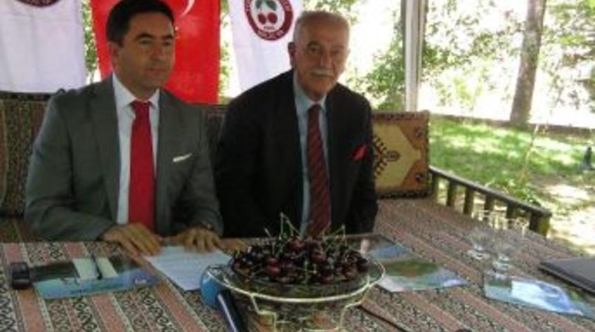 Yeşilyurt Kiraz Şenliği Hazırlığı S&uuml;r&uuml;yor