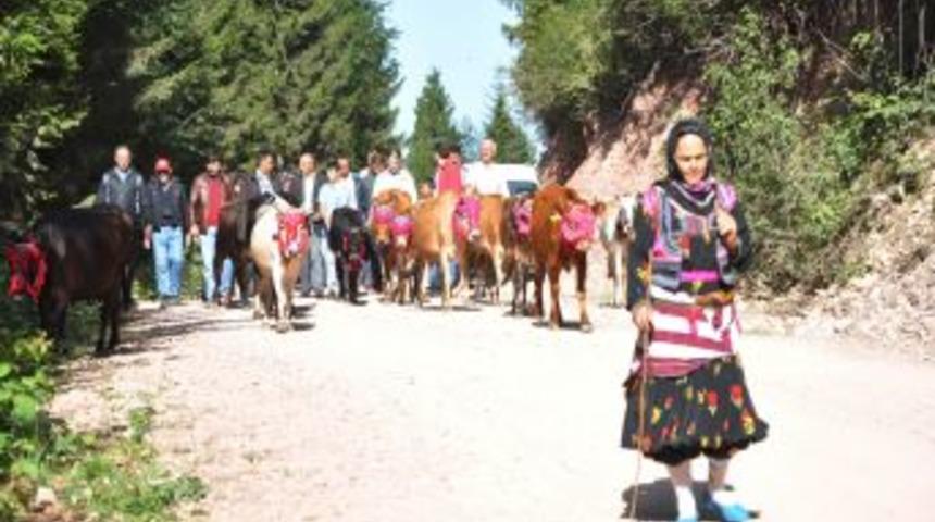 Doğu Karadeniz&rsquo;de Yayla G&ouml;&ccedil;leri Başladı