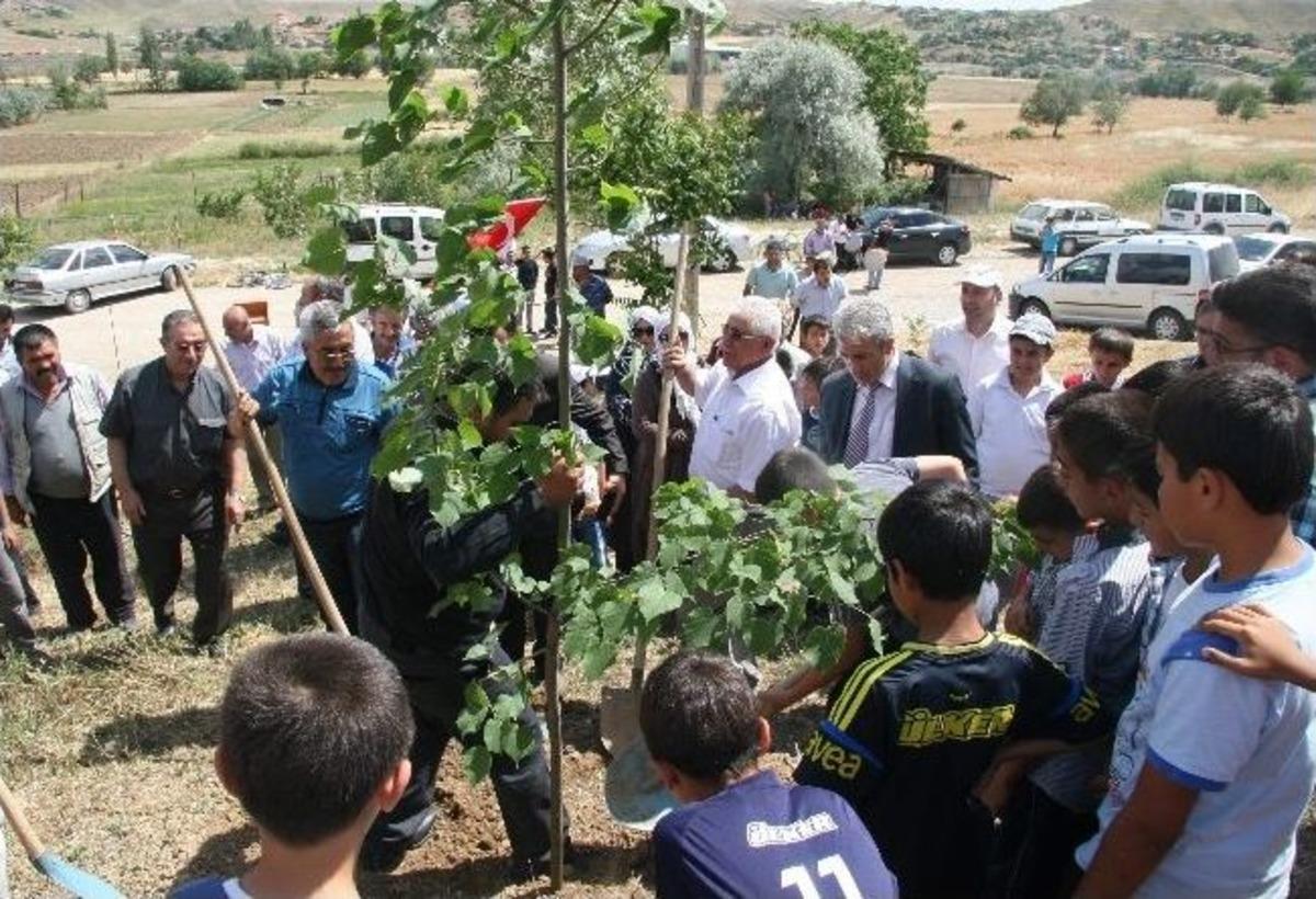 Sungurlu'da Başbakana Destek İ&ccedil;in 2 Bin Fidan Dikildi