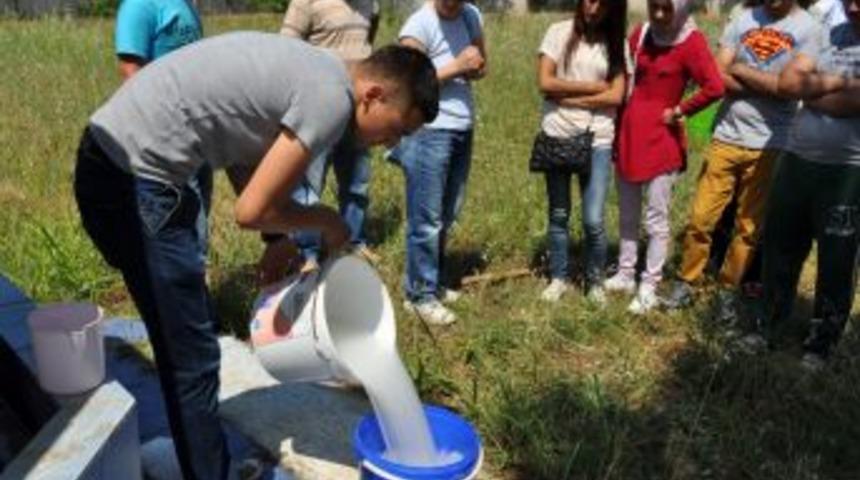 Edremit MYO &Ouml;ğrencilerinden Geleneksel Zeytinyağı Sabunu Yapımı