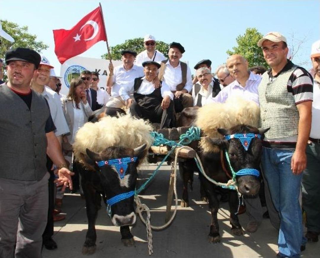 Kağnılı-mehterli Kortej