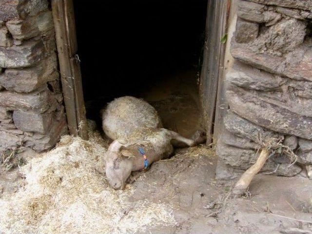 Kiraz Belediyesi Sel Felaketine Uğrayan K&ouml;ye Yardım Elini Uzattı 2