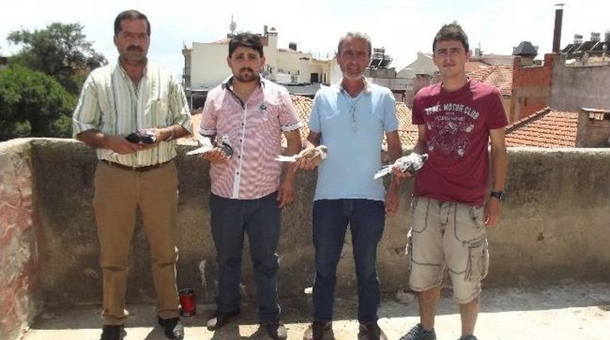 Aydınlı G&uuml;vercincilerin Hırsızlık Tepkisi